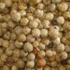 212541 5 pic list 5 mm11111 5710175111115 millmortar