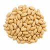 212568 8 pic list 2 mm16701 5710175167013 millmortar
