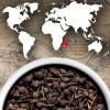 Poivre noir sauvage VOATSIPERIFERY PREMIUM 3 x 20 g, Peugeot