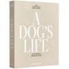 Album photo A DOG´S LIFE, beige, Printworks