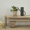 Arrosoir BLOOM 2 l, vert sapin, acier inoxydable, Stelton