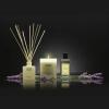 Diffuseur de parfum d'ambiance PROVENCE LAVENDER 100 ml, Cereria Mollá