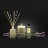 Recharge pour diffuseur PROVENCE LAVENDER 200 ml, Cereria Mollá