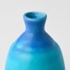 Bouteille de sake TURQUOISE, bleu, céramique, MIJ