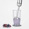 Mixeur plongeant SM 3775 Severin argent