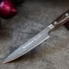 Couteau d'office DARKNITRO 12 cm, marron, F.DICK