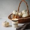 215489 1 vonna svicka yucca 210 g humdakin