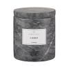 217433 vonna svicka frabli agave doba horeni 18 hodin blomus