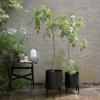 218105 2 stojan na kvetiny simply grow 31 x 42 cm cerna ocel eva solo