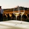 219011 1 sklenice na bile vino notes 630 ml sada 2 ks cira sklo holmegaard