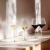 219011 2 sklenice na bile vino notes 630 ml sada 2 ks cira sklo holmegaard