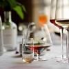 219170 3 sklenice na bile vino rocks 300 ml sada 2 ks cira sklo zone denmark