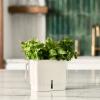 219542 1 kvetinac tealby 15 cm bila plast cole mason