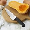 219731 2 kucharsky nuz fibrox 20 cm cerna plast victorinox