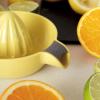 220790 2 lis na citrus juicy 14 cm zluta plast rig tig