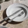 220997 1 jidelni nuz settecento 25 cm duta rukojet stribrna nerezova ocel pintinox