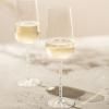 221609 1 sklenice na sampanske journey 358 ml sada 2 ks zwiesel glas