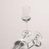 221504 2 sklenice na panaky bar special 95 ml sada 6 ks zwiesel glas