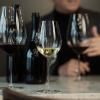 221576 3 sklenice na bile vino enoteca 415 ml sada 2 ks zwiesel glas