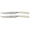 221228 steakovy nuz edonist 12 cm sada 2 ks nerezove nyty bila lion sabatier