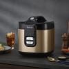 221429 4 ryzovar coppertinto rk364g10 2 l medena tefal