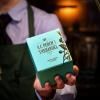 222624 1 zeleny caj green lemon ginger 10 cajovych sacku a c perch s thehandel