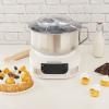 222849 1 impastatrice planetaria pastaio gourmet