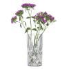 228792 5 vaza noblesse 23 cm sklo nachtmann