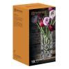 228792 6 vaza noblesse 23 cm sklo nachtmann