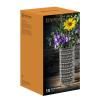 228759 4 vaza ethno 28 cm sklo nachtmann