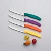 229242 1 nuz na rajcata swiss classic 11 cm modra plast victorinox