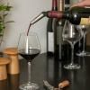 131846 3 dekantacni nalevka na vino 13 cm stribrna nerezova ocel eva solo