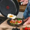 231055 2 panev expertise 28 cm titan tefal