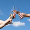 231781 1 sklenice na vino miovino sada 12 ks zwiesel glas
