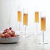 231754 sklenice na sampanske modo 163 ml sada 4 ks zwiesel glas