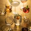 231721 1 sklenice na likery tone 245 ml sada 4 ks zwiesel glas