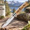 232051 1 kapesni nuz n 08 animalia dog 8 5 cm dubove drevo opinel