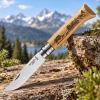 232036 1 kapesni nuz n 08 animalia wild boar 8 5 cm dubove drevo opinel
