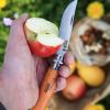 232546 2 opinel classique thvallier 82