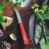 232267 1 nuz na zeleninu n 114 paysage 7 cm cervena habrove drevo opinel