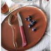 232219 3 jidelni nuz bon appetit 11 cm granatova plast opinel