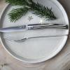 232018 4 steakovy nuz 10 cm sada 4 ks brezove drevo opinel